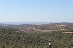 1176 scenery