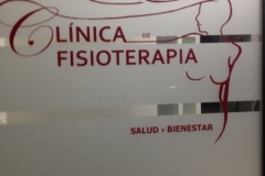 1199 Physiotherapist