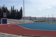 1227 sports stadium