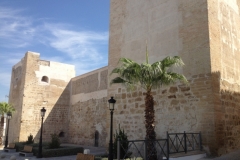 1231 palm tree