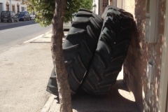 1243 tyres
