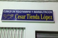 1252 physio