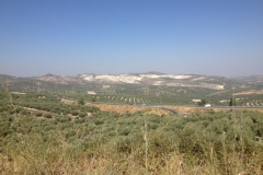 1280 scenery