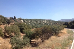 1288 scenery