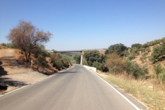 1289 bridge over road