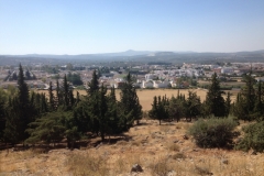 1293 view of town