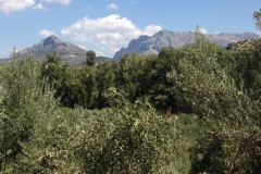 1305 peak