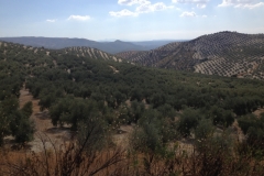 1320 Scenery