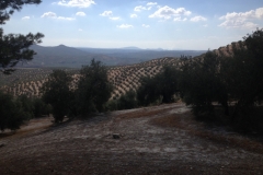 1328 Scenery