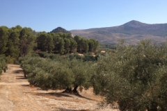 1330 Scenery