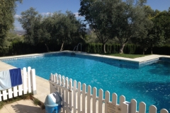 1333 pool