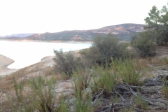 1346 Lake