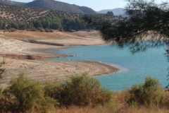 1361 lake