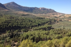 1364 scenery