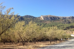 1380scenery