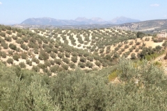 1389 scenery