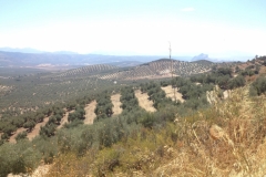 1390 scenery