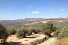 1393 scenery