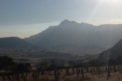 1397 scenery