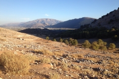 1398 scenery