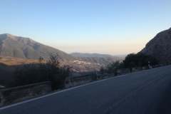 1409 low sun scenery