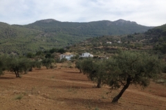 1418 Alcaucin scenery