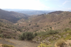 1426 scenery