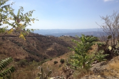 1429 scenery