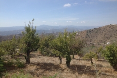 1433 scenery