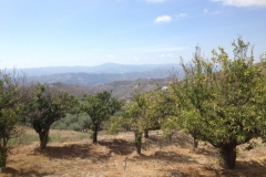 1434 scenery