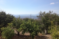 1435 scenery