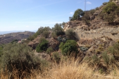 1441 scenery