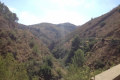 1444 scenery