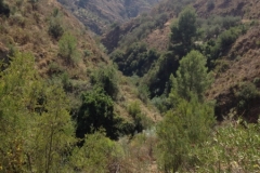 1445 scenery