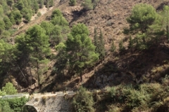 1448 scenery