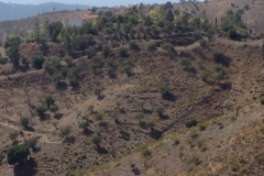 1457 scenery