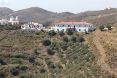 1458 scenery
