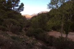 1530 scenery