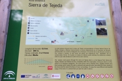 1539 info board