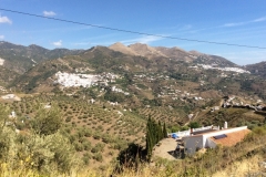1541 scenery