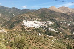1542 scenery