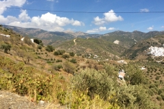 1544 scenery