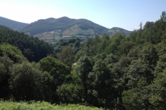 0082 1-9-16 hills
