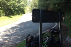 0087 1-9-16 shade by the road