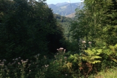 0088 1-9-16 scenery