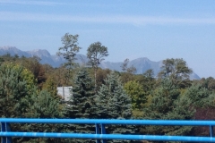 0108 2-9-16 blue fence