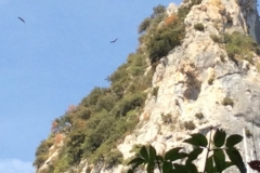 0144 2-9-16 eagles