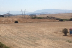 0149 2-9-16 fields