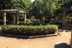 0165 2-9-16 la Taconera gardens lunch