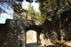 0172 2-9-16 France Gate Pamplona